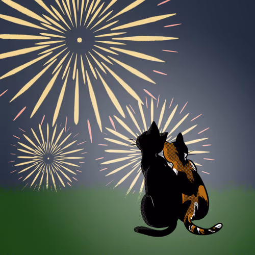 Fireworks