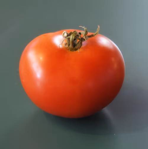 Item #39225727921840912597516203227835836698133878040705777372524793211393507590145 Media