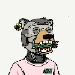 Okay Bears Pixel 53