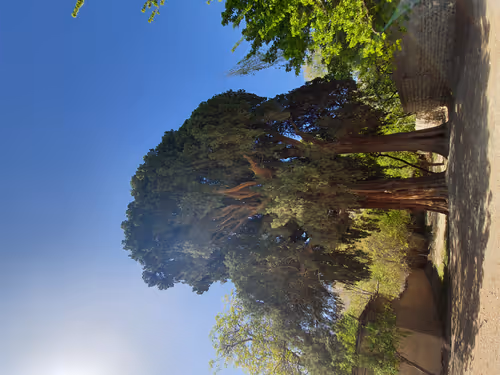 Item #15854051345547538940358171864260483403009845531481112667415573941623021633537 Media