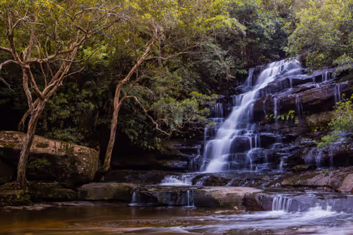 Item #11717075435639617062538583051799023982813876484308334407242089899775718588417 Media