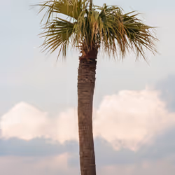 67783958980344062950130156977261207407070005952059443155167400722033289461887