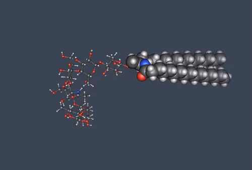 Item #70691296673147545588645983106347604860014430771481084920996057700571505754113 Media