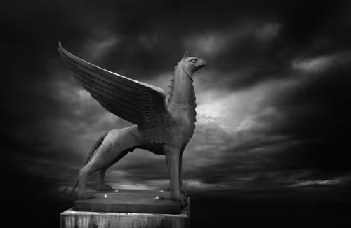 Item #40160686583094733528677484039903516258611509642019211679321071374806816915457 Media