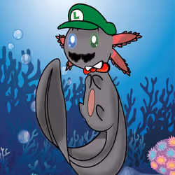 Axolotl 4964