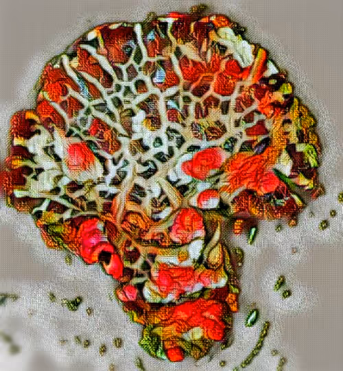 Item #80050559332347163335601971796963442430023304175303914027877321151660876103780 Media