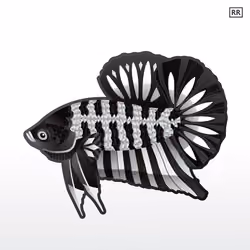 #024 Black white skeleton Galaxy betta.Double Rare class.