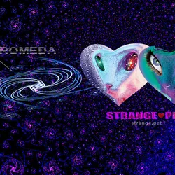 59132355562186324700850821844442436394047262304885251221794294009506989867009