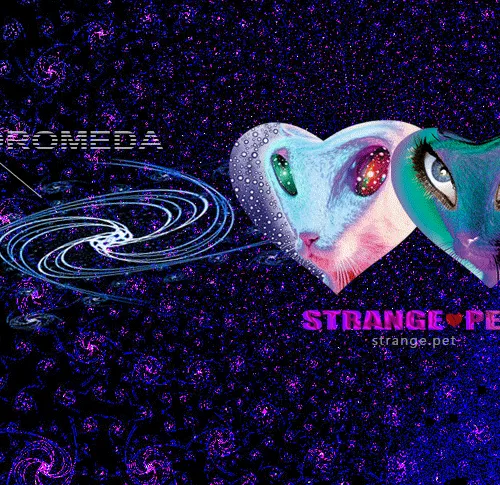 59132355562186324700850821844442436394047262304885251221794294009506989867009