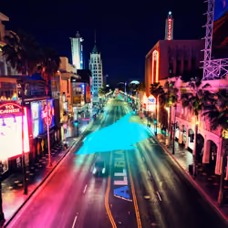 Hollywood Dolphin #2