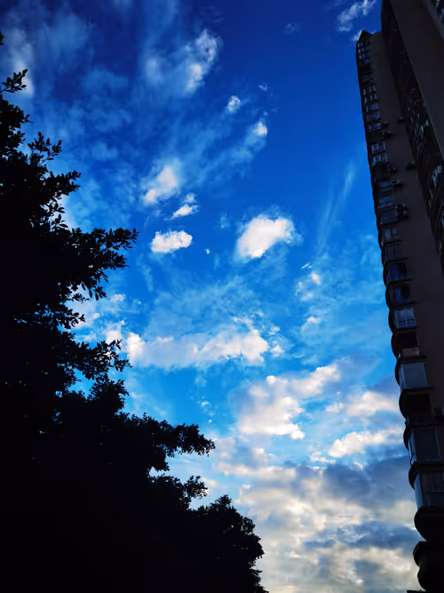 Item #68429609660132223570893361410083996178620126942534156519686902458191343255553 Media