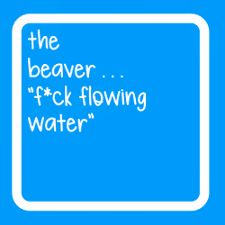 the beaver