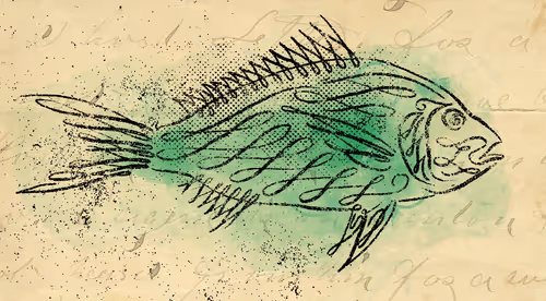 Item #12520096913277121545232673772747947087596815365110293900319642819335091650561 Media