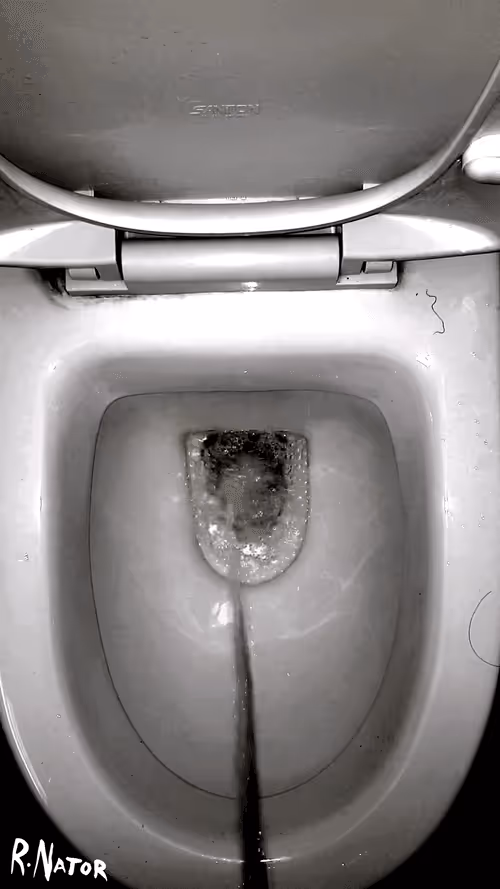 Item #12660136923828748263426703316480839463053827608546839420335324256008830713857 Media