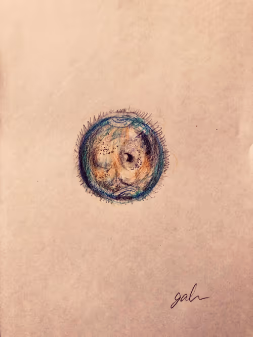 Item #37044860932901534189017535807041573060097593019303084193156804937812501594113 Media