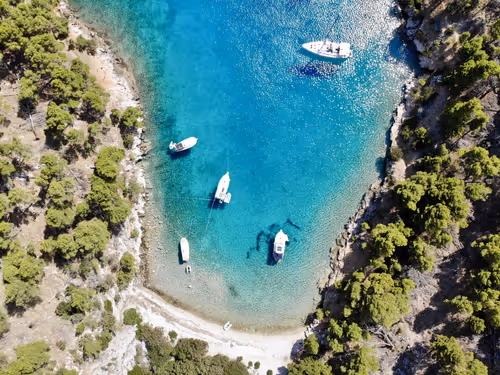 Item #85194694313482311992552065383091349733229460472009518407910609765131779833857 Media