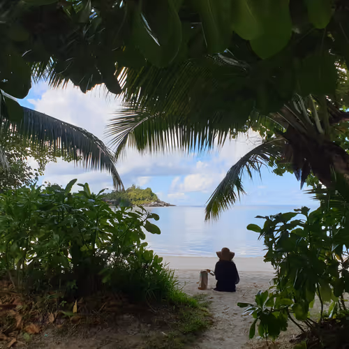 Untitled Collection #10125083