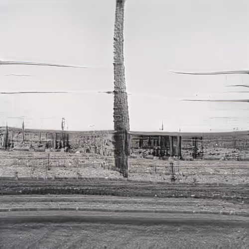 Item #73724818649129063820235598206561371886453496413816980326598328371296874790913 Media