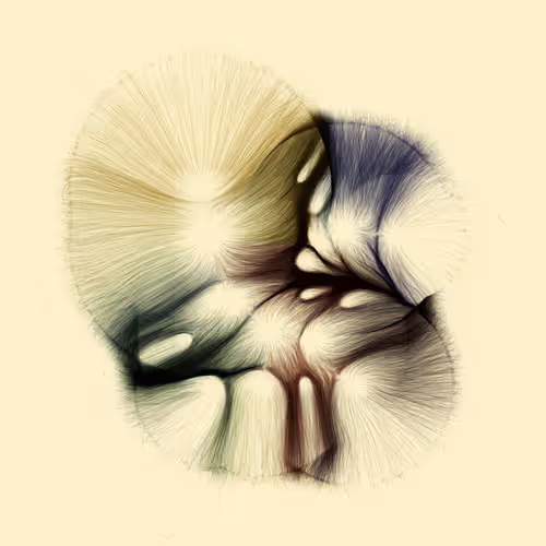 Item #74011109513159304894558377152860080667648997857135590135513699074696363900929 Media