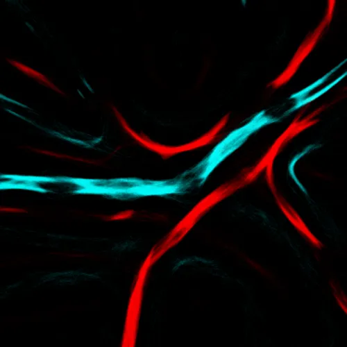 Item #51929734946411346289540790635765095060363125039145709683616697123272357052417 Media