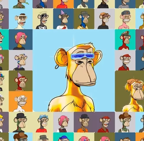 0xmimi Collection