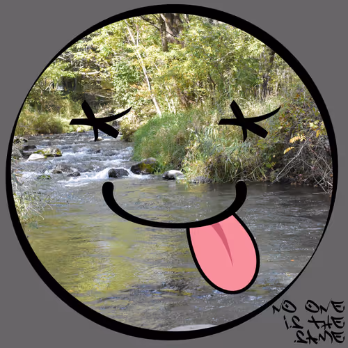 Item #51873618375732866653834179613561209928070521070490563868616644545646512046081 Media