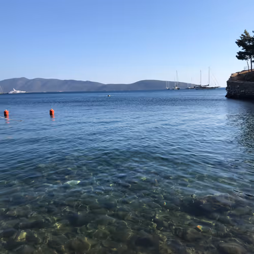 Untitled Collection #13155229