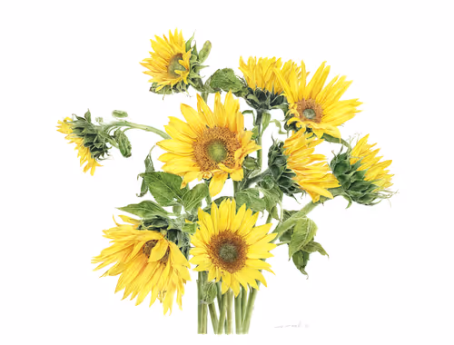 Item #113489034304621262780688231826605953110850630037048369512317058344779895537674 Media