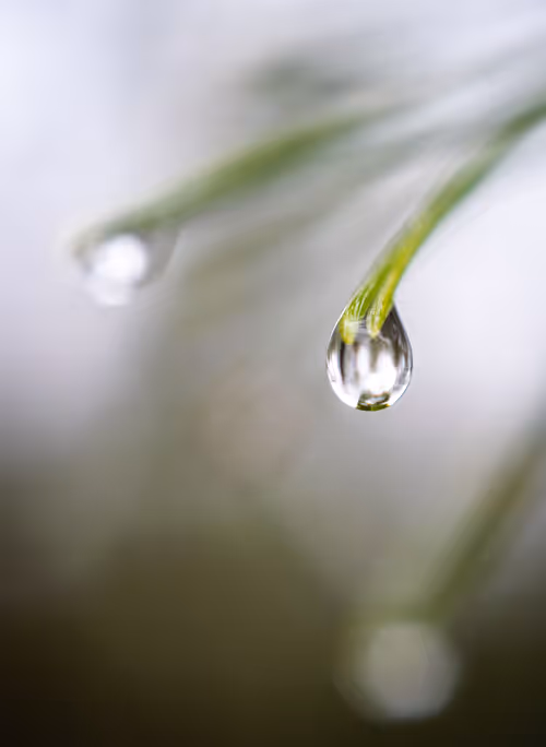 Item #59259199848972023857732761646304634361280699770576024418514166898172004139009 Media