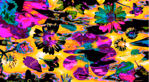 Item #114567358423953626281537788403819853891642458412316118477611090119606927360001 Media