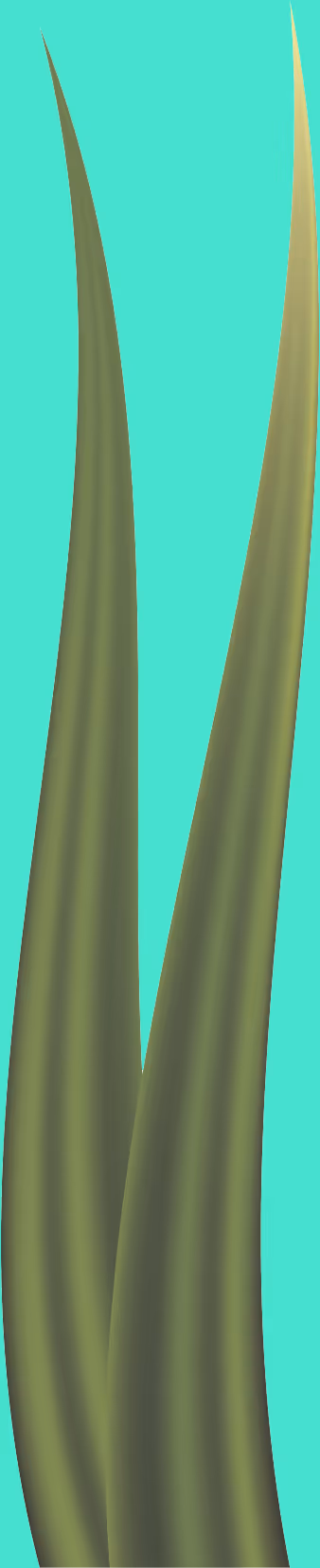 Item #78763235517899702300642317908544281341520076745003203023483946004903333199873 Media