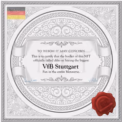 Biggest VfB Stuttgart Fan in the Metaverse