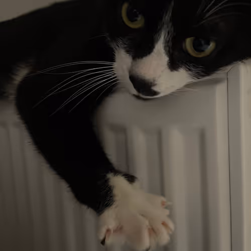 Untitled Collection #46200331