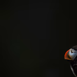 100984431488106687156308066677938556093248654552995172236138118434679431364609