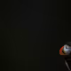 100984431488106687156308066677938556093248654552995172236138118434679431364609