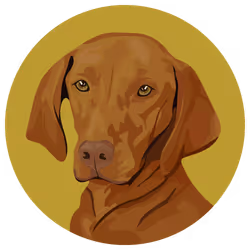 54766349128176429303044182404049584425310907481653304317570413813284588224513