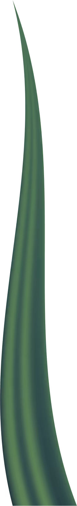 Item #78763235517899702300642317908544281341520076745003203023483945977415542505473 Media