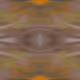 112694338187096677512520828741778326389672714337612276641250161971865281626113
