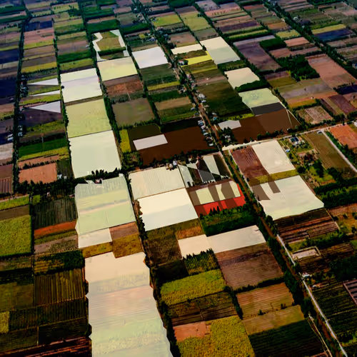 Item #12374367017232779638707207912234544831524034180509971700636944856432972398593 Media