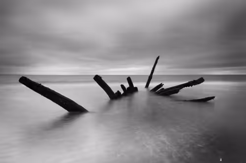 Item #41307754128955213419929316097644134962608763953462543917876022962953857794049 Media