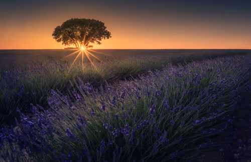 Item #113694148209236395308278253476279907757347038085446123025324090041831622967297 Media