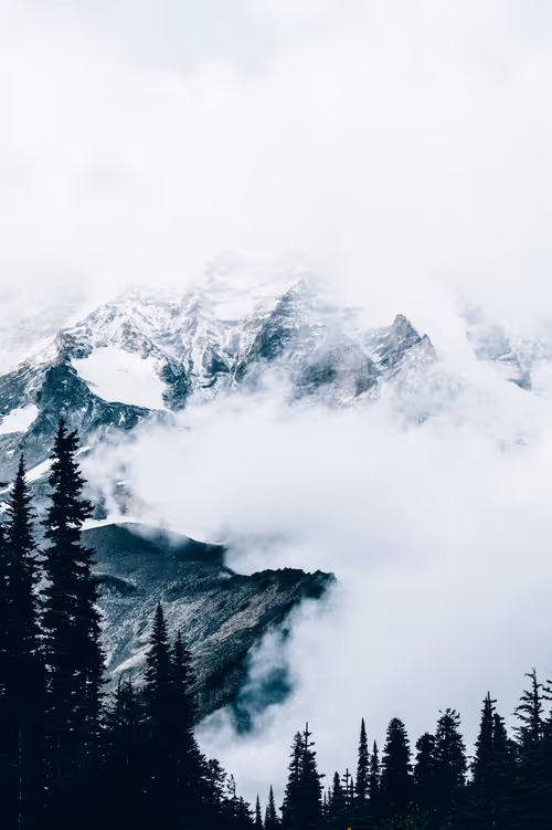 Item #63454844605715267947314910232292346032056647728766809663184741541772345212929 Media