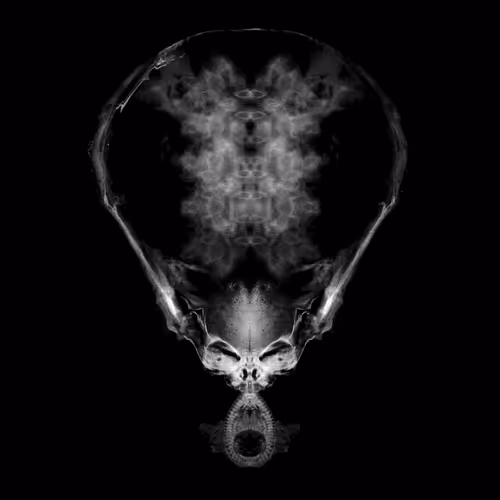 Alien Embryos