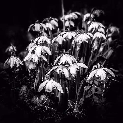 Item #17635803375648012338610213380030160191715370757553255260744606494271647776769 Media