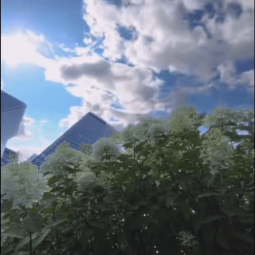 High_Hopes