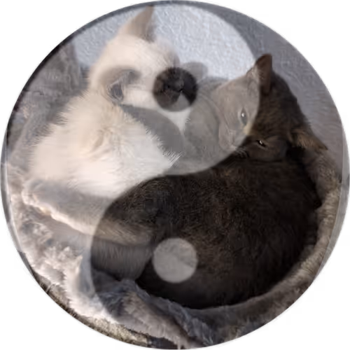 Item #54368346750715825108818200053303091829889046546154692603931558861005379338241 Media