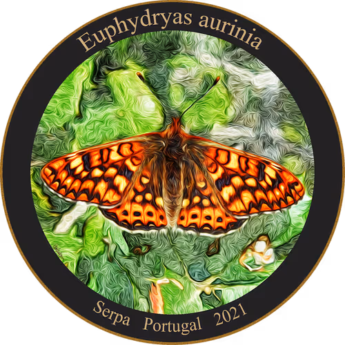 Item #83346383481971607988729477170446348570292642791419063456680174182487715479553 Media