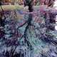 111959947651697492086722085074739668450706274475027751123383059578300598845441