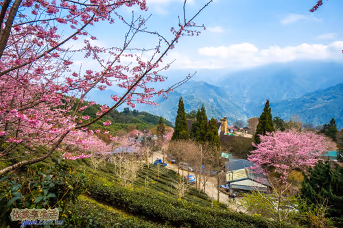 Item #100744422725674417057824683306763013505668843176654858816283483979111513194497 Media