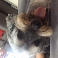 Rocky 006